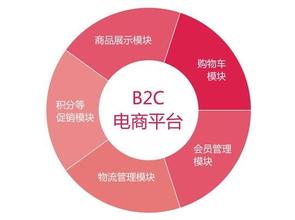  团购网的营销策略 B2C的团购营销