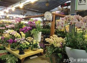  徐家庄附近哪里有花店 求大学校园附近开花店技巧