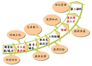  人才培养质量评价体系 我国动漫产业人才培养体系研究