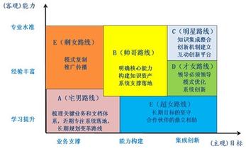  最成功的超女 知识管理的成功路径——你是剩女还是超女？