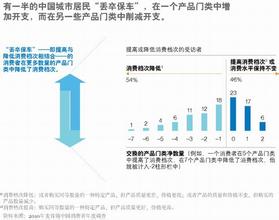  麦肯锡：2010中国新一代务实型消费者