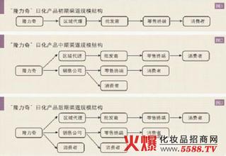  电子产品销售渠道 “隆力奇”日化产品销售渠道网络