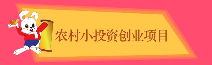  50万投资办厂项目 投资50万干啥项目好呢？