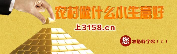  当哈姆雷特拿不定主意 我想投资30万做个小生意 但又拿不定主意搞什么？