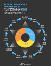  天猫开店流程及费用 服装开店，谁能告诉我一个比较全的流程和技巧阿？