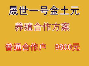  不知道现在做什么买卖 河南,我想高养殖不知道做什么好