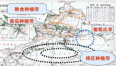  新中基：丁渭造宫式的战略转型