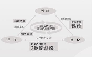  战略导向整合管理模式 HR管理的战略模式