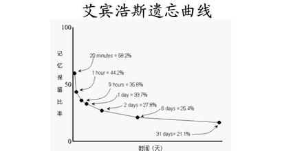  寻找遗忘的天堂 寻找遗忘曲线