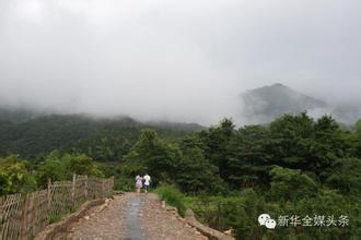  武平：“芯”路漫长(1)