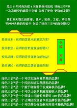 价值链金融 绿金价值链