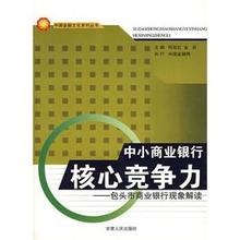  中小股份制商业银行 中小商业银行的综合竞争力