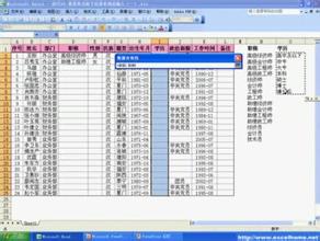  excel数据有效性 利用Excel的“数据有效性”管理分类文本(1)