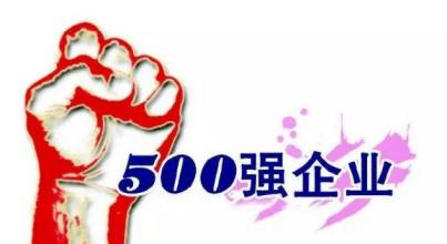  远离500强 闷声发大财 500强“还是500大”