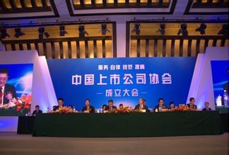  中国春节全球最大盛会 中国上市公司的又一次盛会(2)