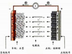  中国经济增长影响因素 2010保增长之正负因素