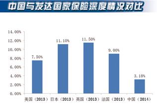  保障性安居工程审计 发达国家如何保障安居？