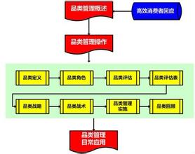  产品价格策略怎么写 品类管理—产品价格策略