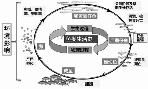  推动式和拉动式生产 商业聚集经济性推动与消费需求拉动的耦合分析