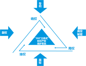  知识产权管理 电子商务与知识产权