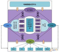  信息化和电子商务统计 电子商务中的会计信息化