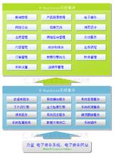  电子商务网站安全测试 论企业电子商务网站的安全控制