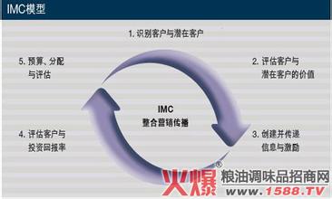  2016跨国公司营销案例 从IMC看电子商务对跨国企业营销的作用