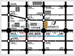  国际化经营 中心国际化经营模式