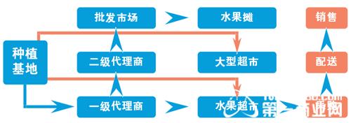  某商贩去菜摊买黄瓜 水果摊上藏“真经” 看水果商贩销售流程