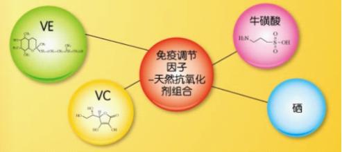  销售五大步骤 销售人才的五大维生素（2）