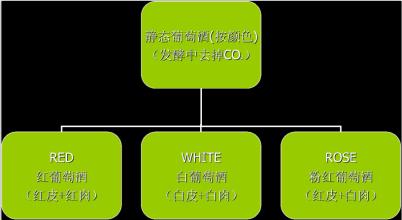  代理的种类有 代理的种类