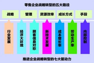  医药零售连锁工作手册 连锁零售企业战略扩张方式的对比及选择