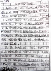 什么是爱作文300字 什么是爱作文