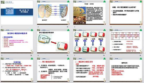 生物圈2号 生物圈2号-简介，生物圈2号-实验过程