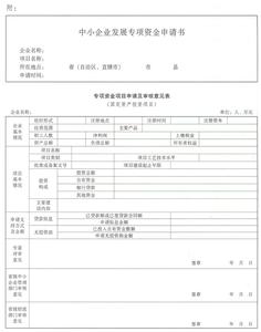 救助资金申请报告 资金申请报告格式