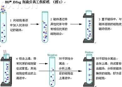 磁珠 磁珠-简介，磁珠-原理