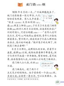 虎门销烟的故事300字 虎门销烟作文