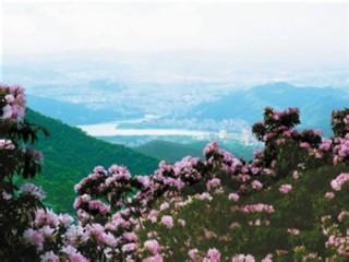 梧桐山 梧桐山-景区特色，梧桐山-景区规划