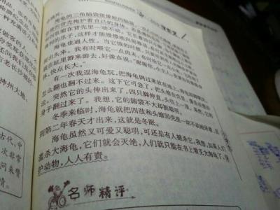 我喜欢的小动物300字 我喜欢的小动物作文用说明方法写300