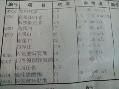 年年岁岁年年 《年年岁岁年年》 《年年岁岁年年》-?基本信息栏，《年年岁岁年