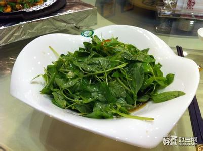 凉拌荆芥 味道独特的【凉拌荆芥】