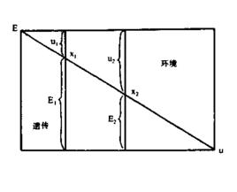 环境决定论与文化理论 决定论 决定论-定义介绍，决定论-理论分析