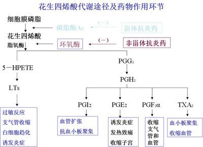 非甾体抗炎药作用机制 非甾体类抗炎药 非甾体类抗炎药-作用机制，非甾体类抗炎药-分类