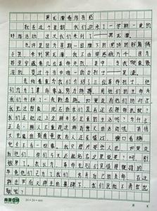 最美的老师作文500字 最美的老师作文600字