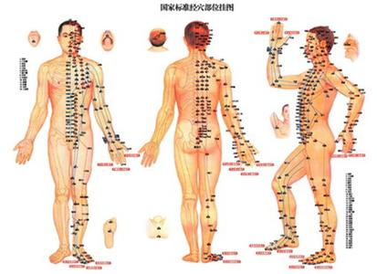 腧穴的现代研究 腧穴 腧穴-介绍，腧穴-腧穴研究发展