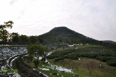 磨盘山遗址 磨盘山遗址-信息，磨盘山遗址-简介