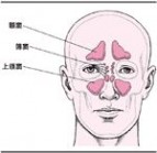 鼻前庭炎 鼻前庭炎-病因，鼻前庭炎-鉴别诊断