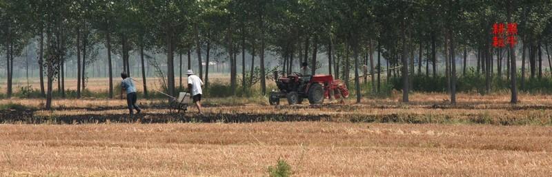 回到村里去种地 回到村里去种地-基本信息，回到村里去种地-章节