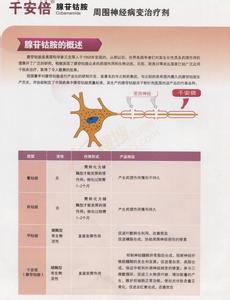 腺苷钴胺片 腺苷钴胺片-药品简介，腺苷钴胺片-主要成分