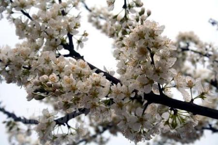 面朝大海春暖花开 走过冬季，春暖花开